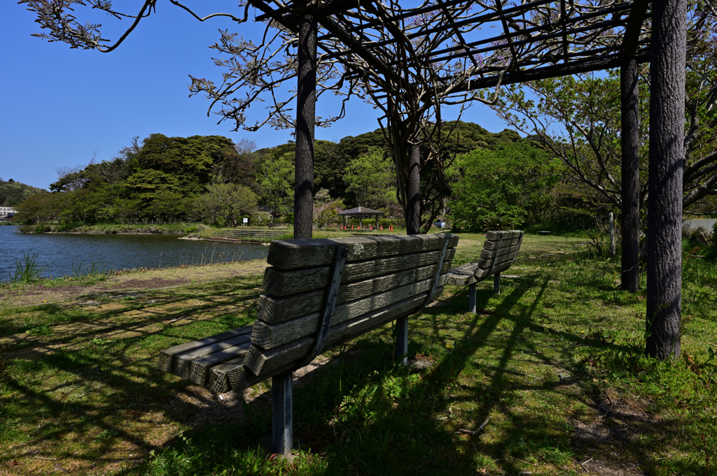 離湖公園　ベンチ