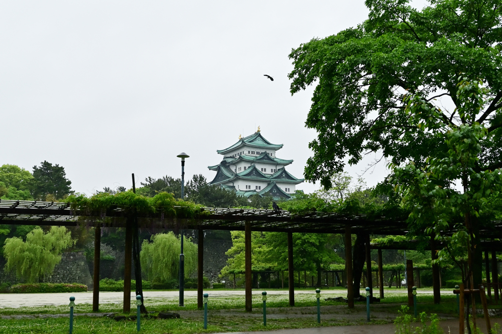 雨の名古屋城