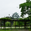 雨の名古屋城