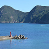 今日の海　竹野漁港