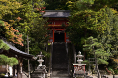 金刀比羅神社　参道