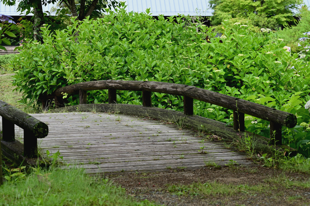 木橋