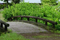 木橋