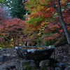 乙女神社の紅葉②