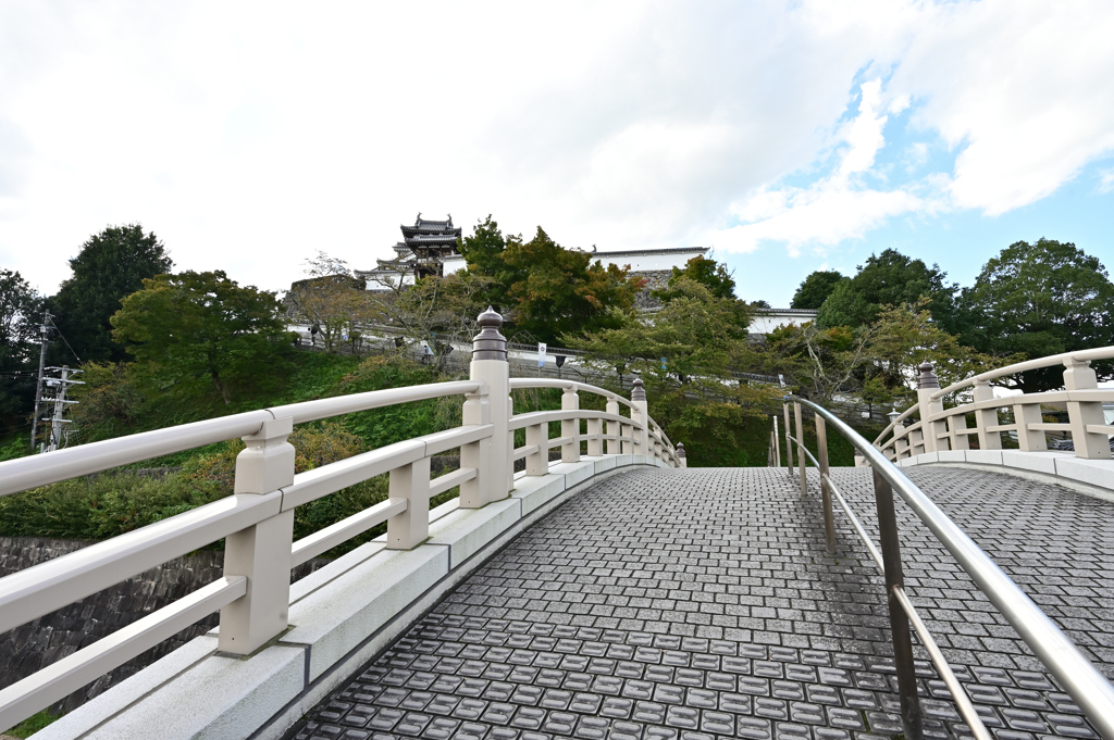 福知山城　昇龍橋から