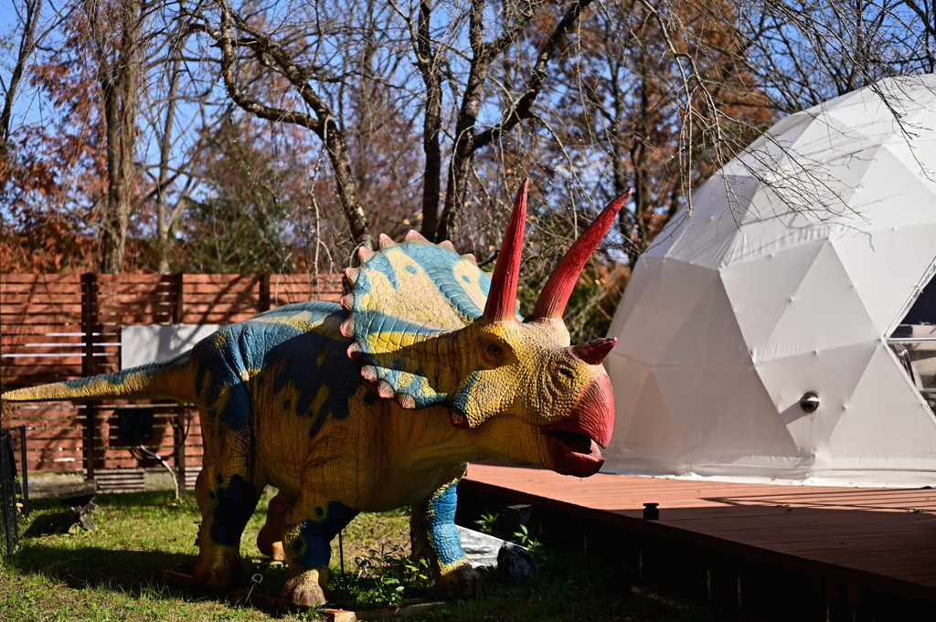 グランピングの用心棒