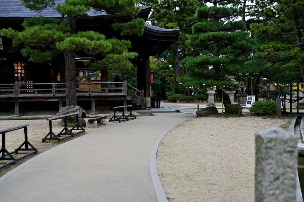 天橋立　智恩寺参道