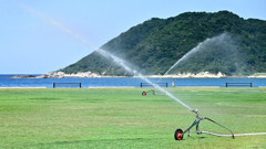 散水