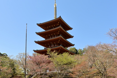 成相寺 五重塔②