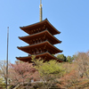 成相寺 五重塔②