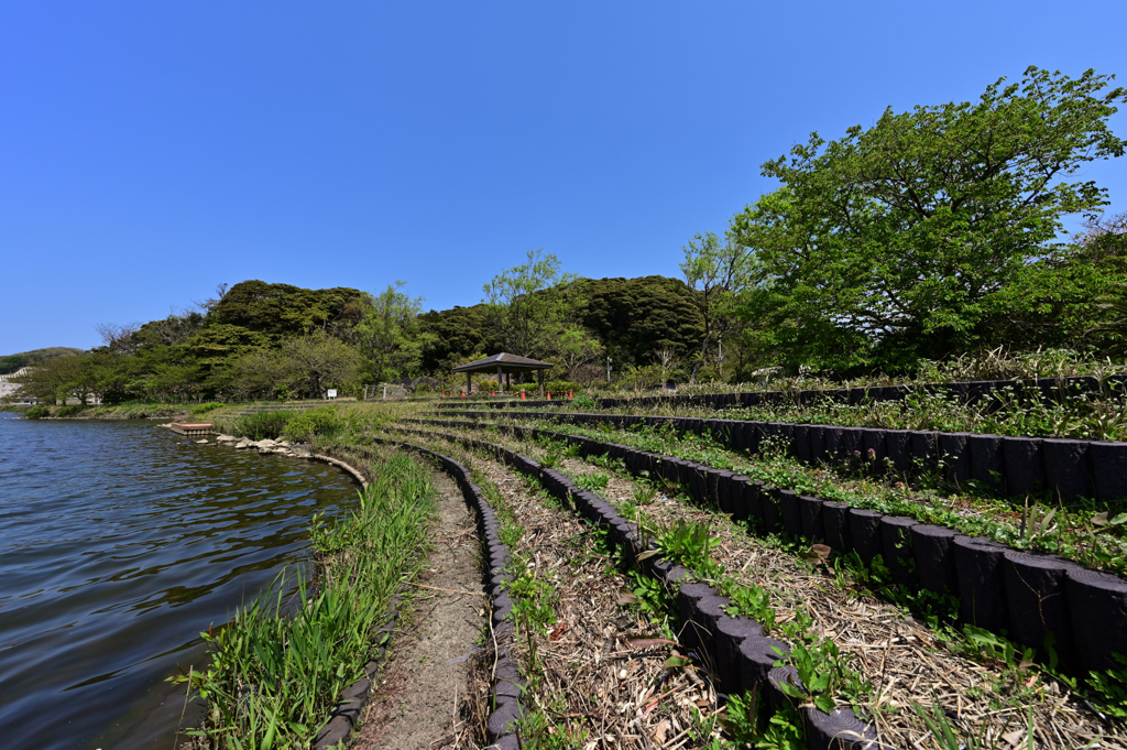 離湖公園