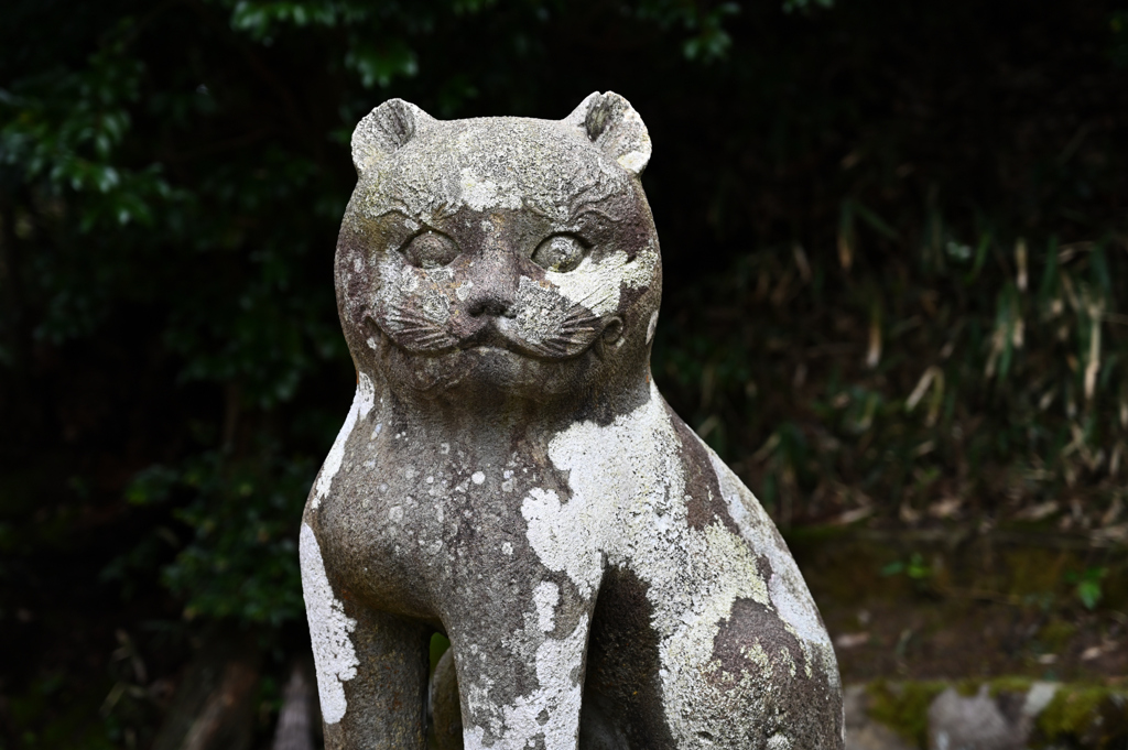 金刀比羅神社 駒猫