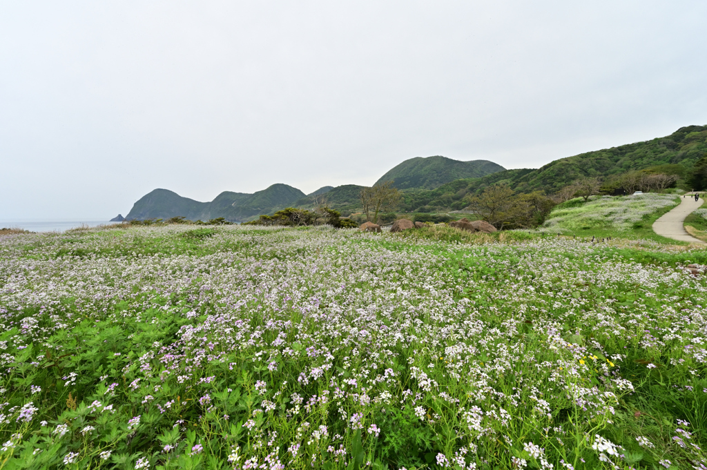 近場の大成古墳群で朝練してきました。