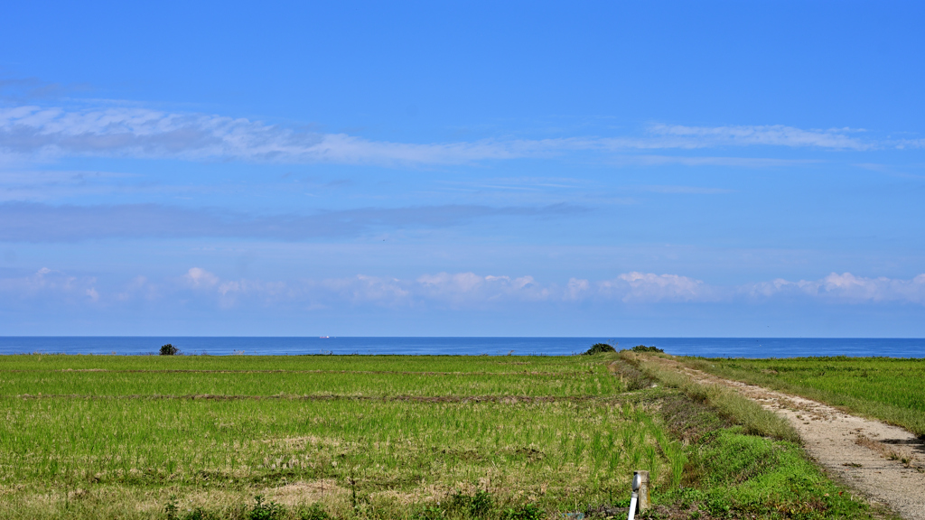 稲刈り後の定点撮影