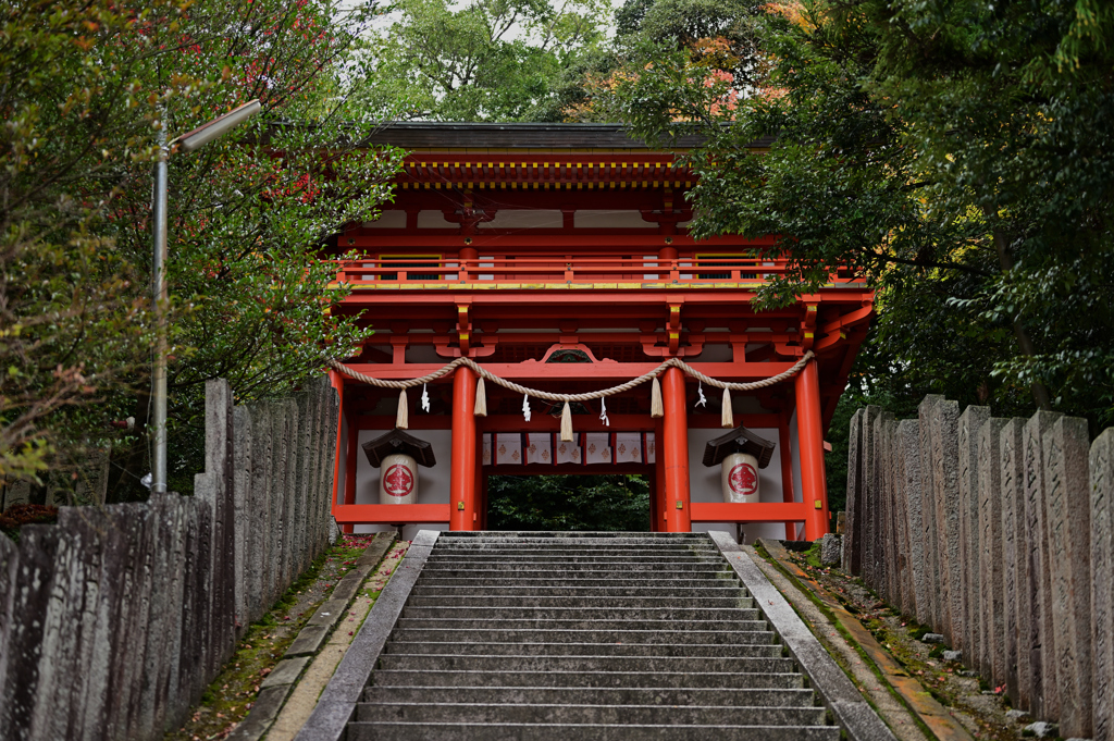 金比羅さん　神門