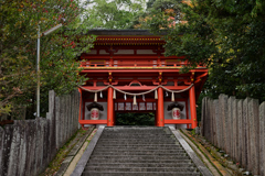 金比羅さん　神門