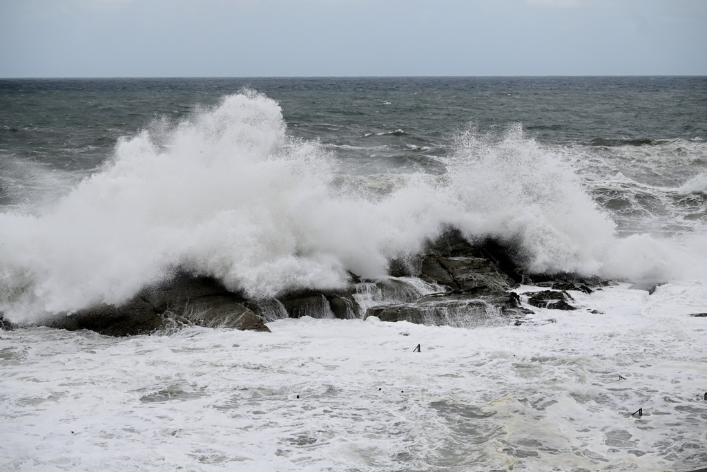 台風14号の吹き返し　親水プール