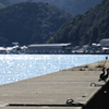 津居山港