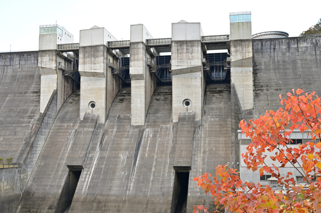 日吉ダムの紅葉②　緊急放水路