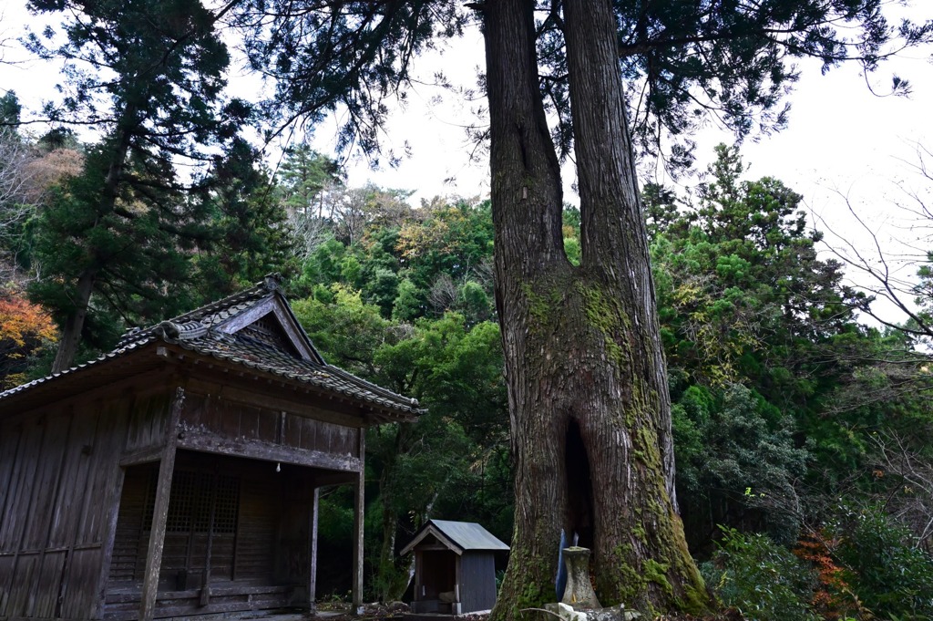 大成八幡神社①
