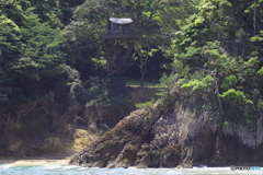 ツリーハウス②