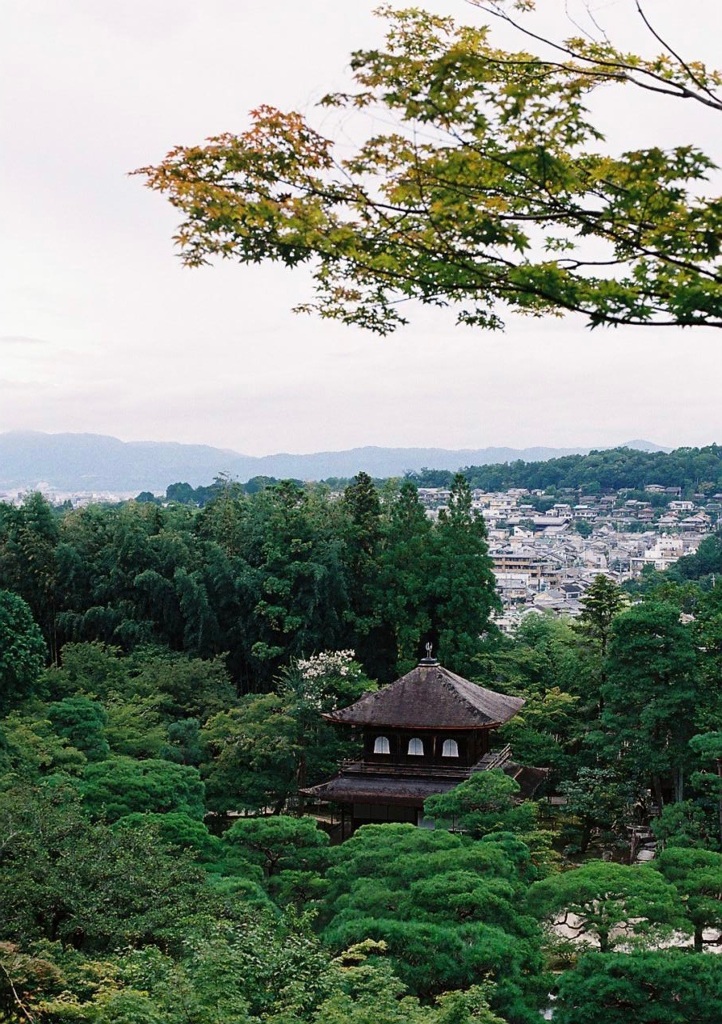 木々の間には慈照寺銀閣