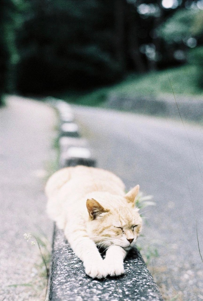 くつろぎの時間