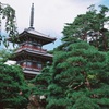 輪王寺の庭園より