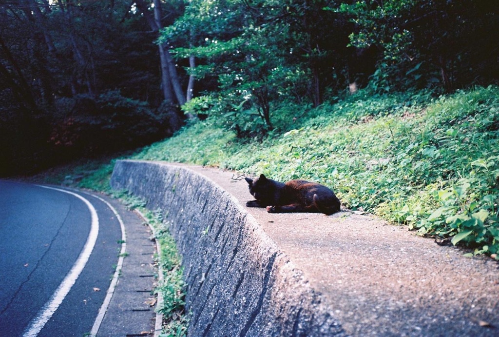 山の住人