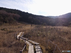 路