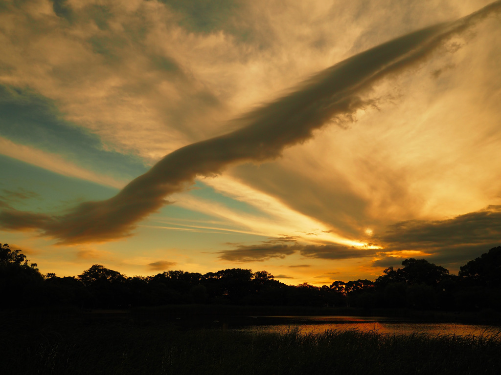 今日の空