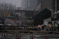 Snow〜東京〜