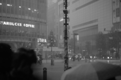 渋谷〜Rain〜
