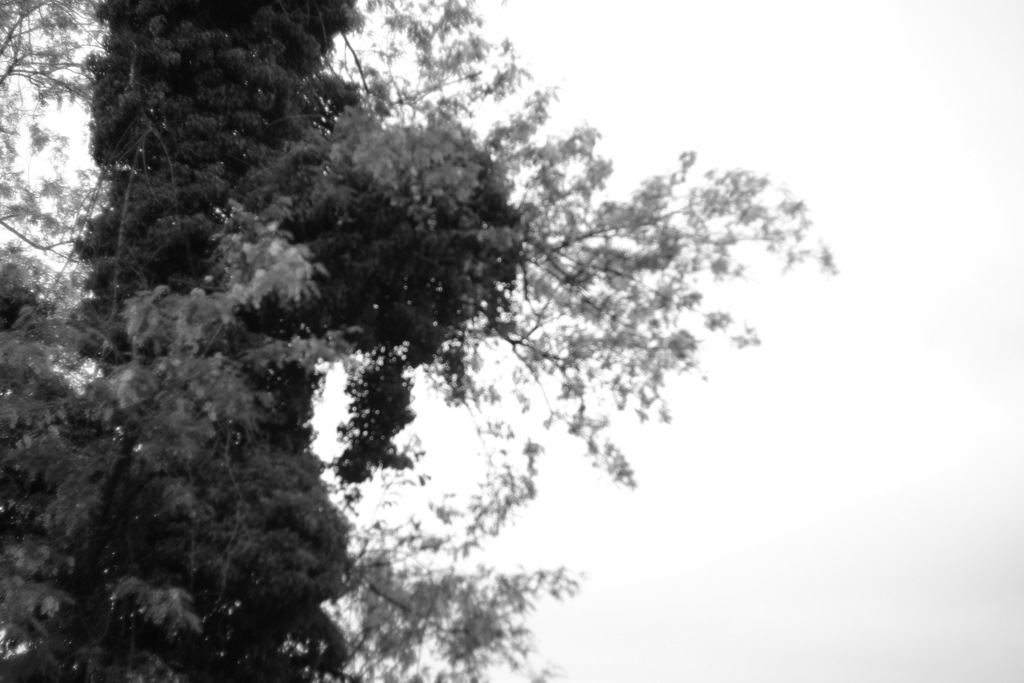 無題〜monotone〜