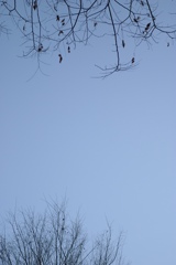 〜branch〜