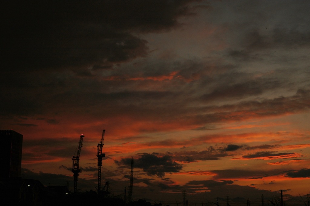 Evening sun
