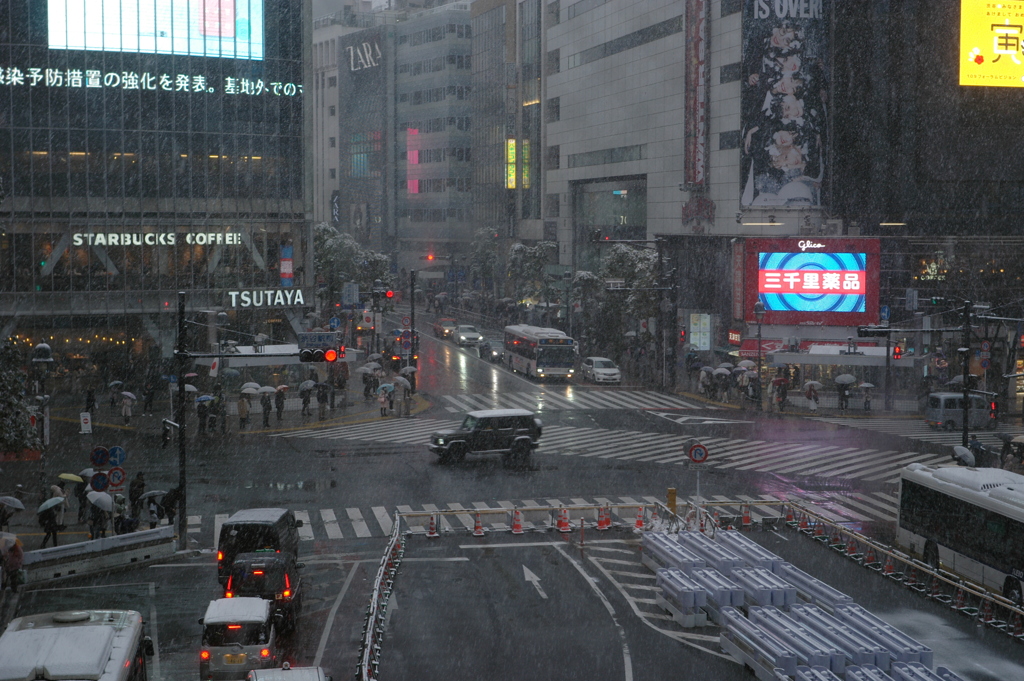 Snow〜東京〜
