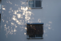 〜shadow〜