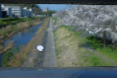 〜Cherry Blossom〜
