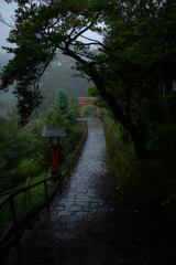 霞神社 雨の参道