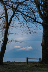 静かに眺める桜島
