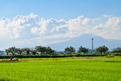 散歩道から