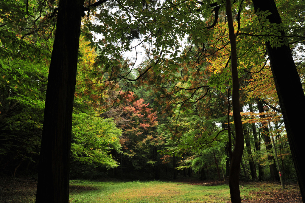 関之尾滝 遊歩道にて 2