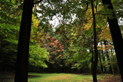 関之尾滝 遊歩道にて 2