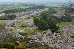母智丘神社からの眺め