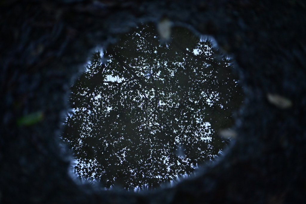 Down the Rabit-Hole !