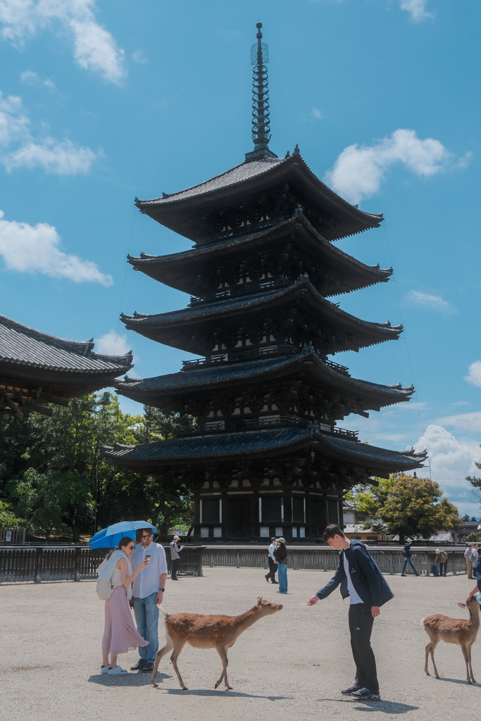 インバウンドと青い空