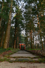 狭野神社 参道にて