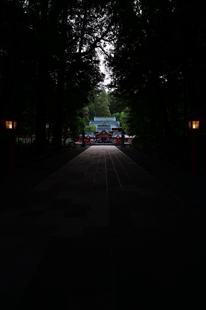 霧島神宮 参道