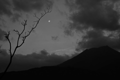山と月と雲と枯木